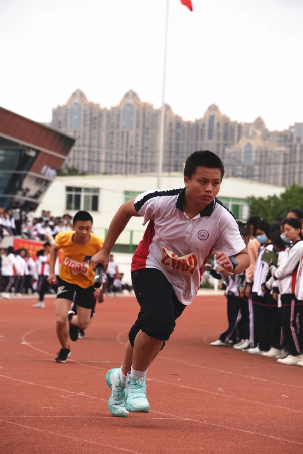 图片16.png