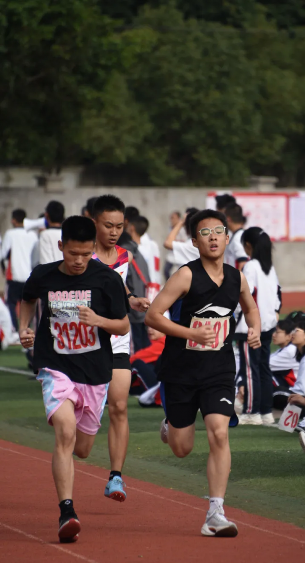 图片12.png